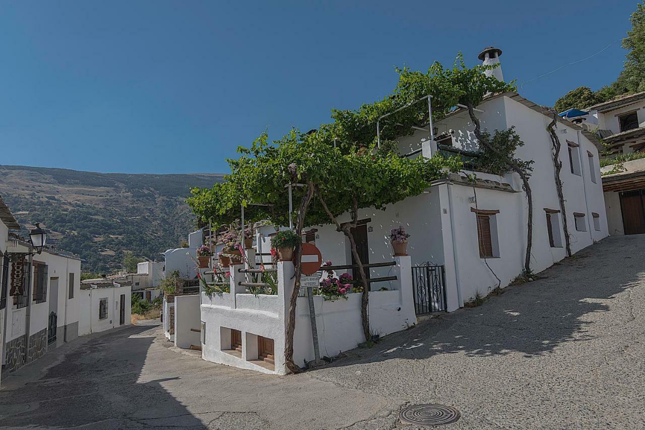 Appartamento Rurales Chimeneas Capileira