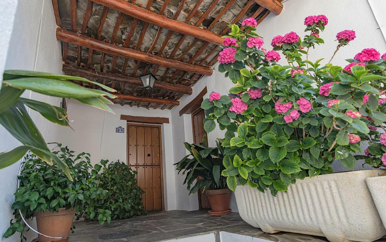 Rurales Chimeneas Capileira